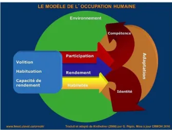 Figure 1. Schématisation du Modèle de l’occupation humaine 