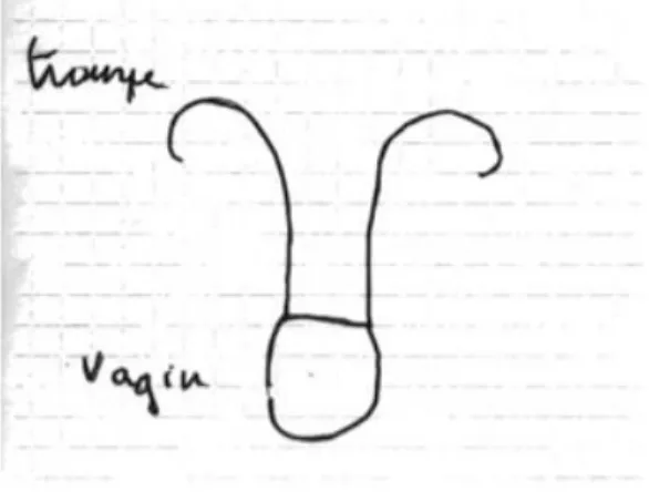 Figure 5. Représentation de son vagin par une femme souffrant de vaginisme. 