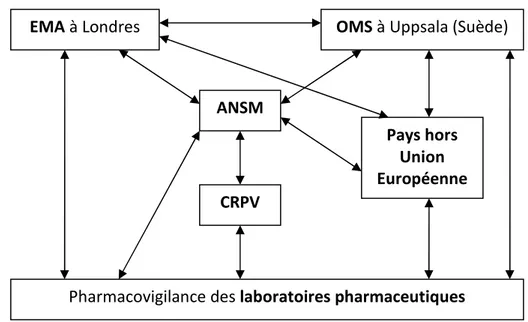 Figure 3 : Relations de la pharmacovigilance française avec les systèmes de 