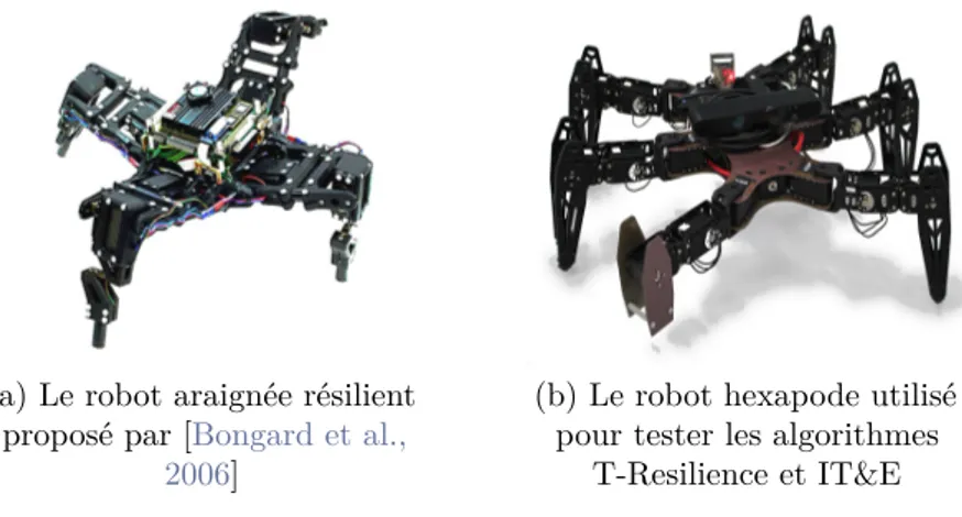 Figure 2.8 – Exemple de robots résilients