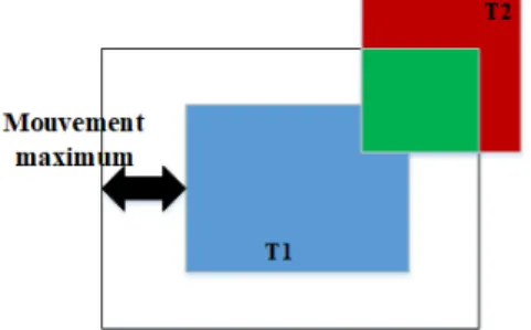 Figure 3.6 – Attaque du mouvement maximale [2].