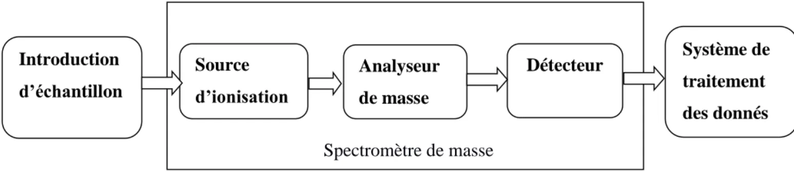 Figure 1 : principe du spectromètre de masse 