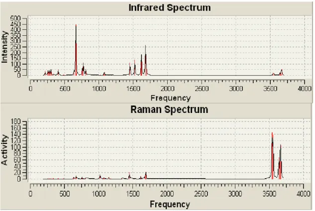 Figure II.5 : Spectres IR et Raman du 1H-guanazole calculés au niveau  DFT/B3LYP/6-31G*