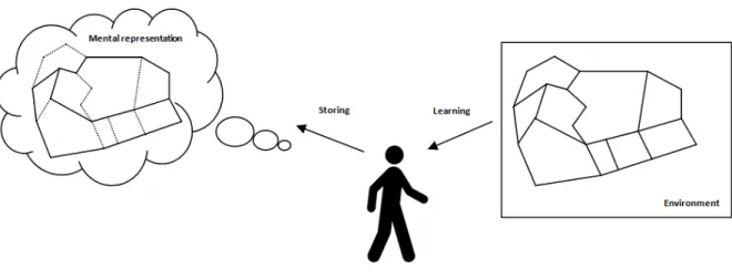 Figure I-2: Acquisition of spatial knowledge. A person perceives the environment, learns its layout, and stores this  knowledge in a mental representation