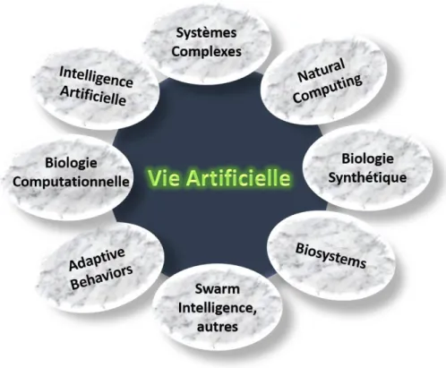 Figure 2.2 : Aperçu de quelques domaines de recherches connexes à la vie artificielle