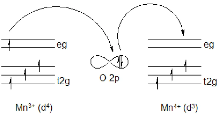 Figure 17 : Schéma qui illustre que le FM est plus stable que l’état AFM lorsque  EF  se place  dans la bande de l’impureté 