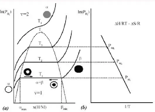 Figure II.3 – (a) Courbes Pression-Composition-Température pour des températures  croissantes (T1&lt;T2&lt;T3&lt;Tc&lt;T4)