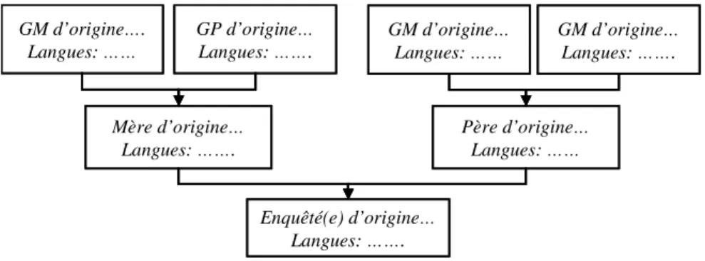 Figure 13: Modèle de  carte linguistique familiale 