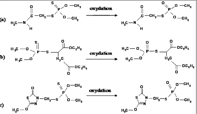 Figure 6 : Structure des organophosphorés et de leurs formes oxydées utilisées dans cette  étude : (a) diméthoate et ométhoate, (b)  malathion et malaoxon, (c) méthidathion 