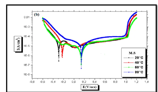 Figure III-2 : Courbes de polarisation potentiodynamique de l’acier inoxydable 904L (M.B et  M.S) dans l’acide phosphorique pollué à différentes températures 