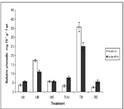 Fig. 3: Effect of SA treatment (50 µM) on soluble phenolic contents in roots of date palm cv