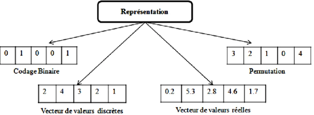Figure II.4.Principaux codages pour des problèmes d'optimisation [6]. 