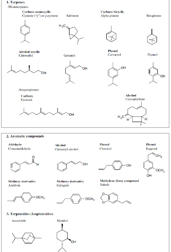 Figure 12: Structure de quelques substances rencontrées dans les huiles essentielles 