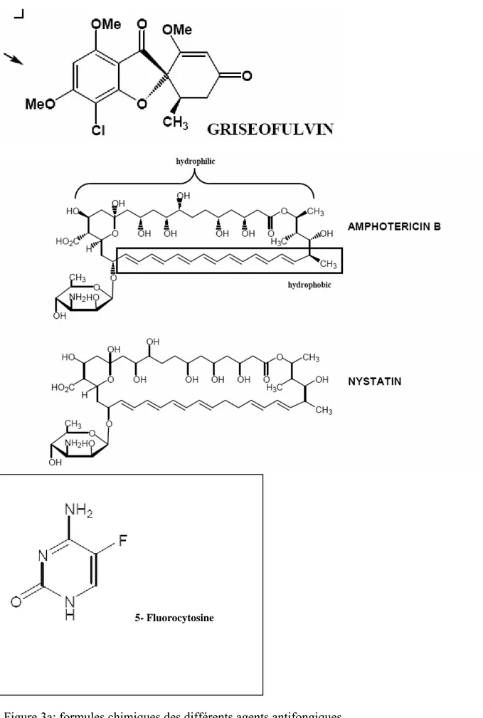 Figure 3a: formules chimiques des différents agents antifongiques  