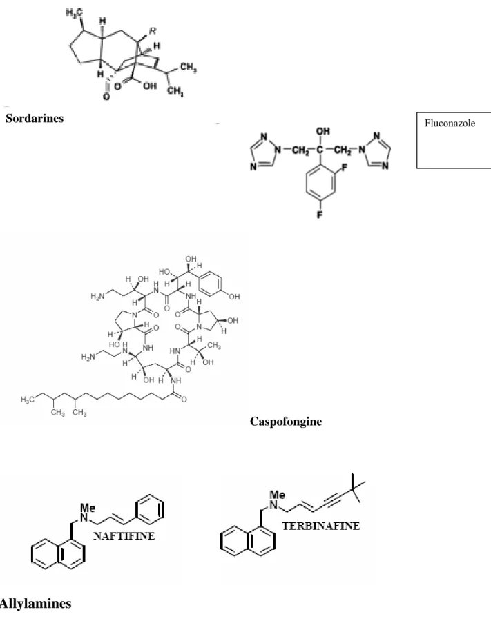 Figure 3b: Formules chimiques des différents agents antifongiques connus 