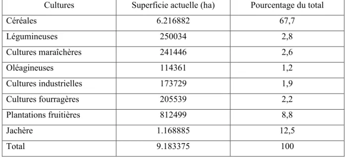 TABLEAU 2   : OCCUPATION DU SOL AU MAROC 