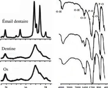 Figure I-4 : Spectres de diffraction des rayons X et spectres infrarouges d’un émail dentaire, 