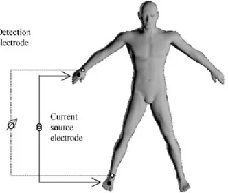 Figure 1-5 : Emplacement standard des électrodes pour l’impédance bioélectrique monofréquence tétrapolaire et  multifréquence [Kyle et al., 2004]