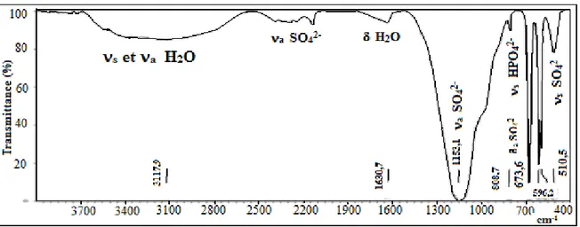 Figure II.5 : Spectre d'absorption IR du phosphogypse en présence de 5% en Cd (II). 