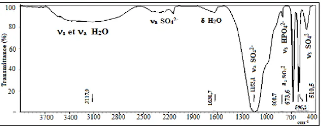 Figure II.5 : Spectre d'absorption IR du phosphogypse en présence de 5% en Cd (II). 