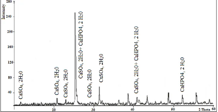 Figure II.12 : Diagramme de DRX du sulfate de calcium préparé en présence de 10% de  
