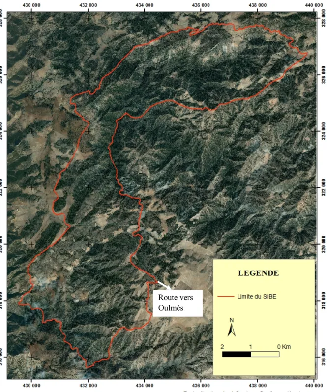 Figure 4 : Délimitation du SIBE d’El Harcha sur  scènes d’images satellites (Imagerie  2012  CENES/Spot Image, DigitalGlobe, GeoEye (Google Earth©)).