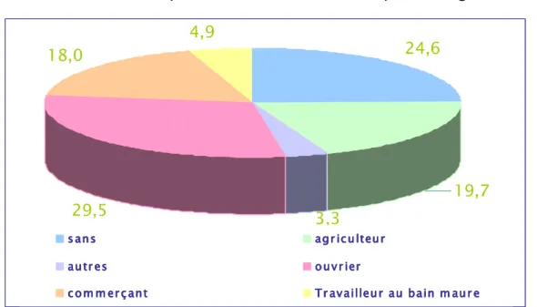 Diagramme 1 : Distribution des malades selon la profession 