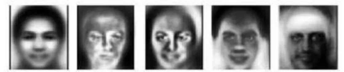 Figure 2.3. Exemples des 5 premiers visages propres construits avec l'approche ACP. 