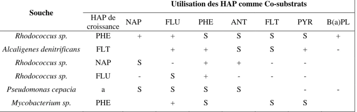 Tableau 2 : Dégradation des HAP par co-métabolisme (Cerniglia, 1992) 