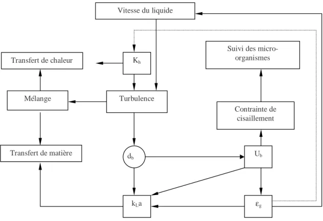 Figure 3.  Interdépendance des différents paramètres hydrodynamiques et de transferts de matière et de  chaleur dans le cas des réacteurs airlifts 