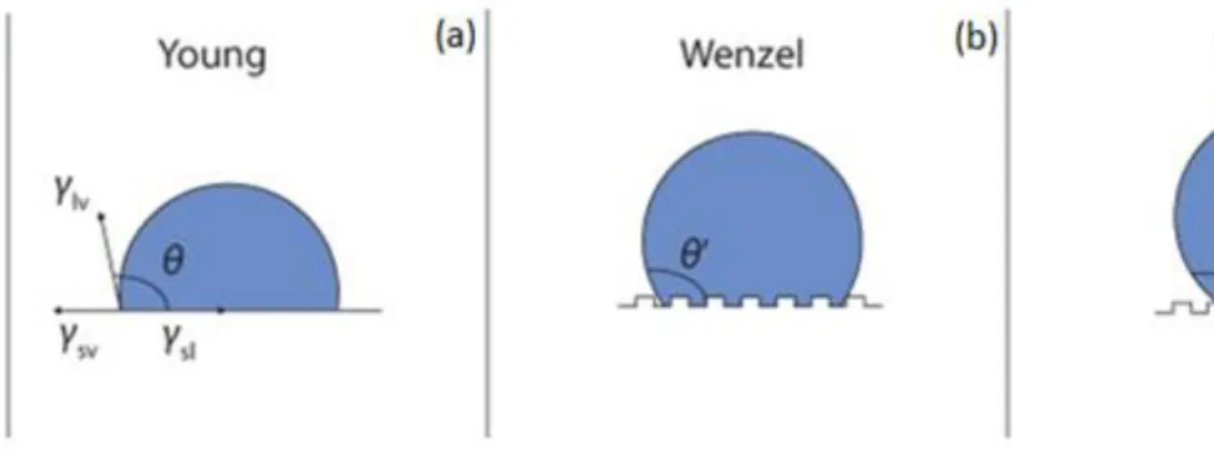 Figure 2.6. Young, Wenzel and Cassie models [72] 
