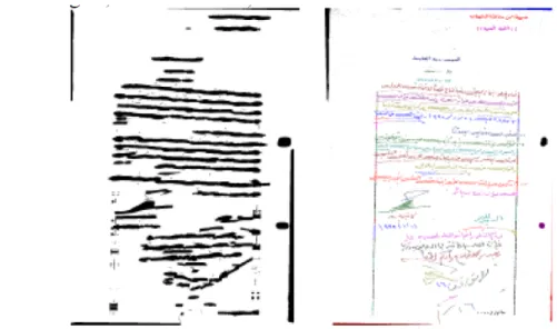 Figure 2.19: Technique de smearing avec l’utilisation de la méthode level set [ 95 ].