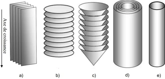 Figure 1.7 : Représentation schématique des principales formes de nanofibres et nanotubes de  carbone: a) CNF-R, b) CNF-P, c) CNF-H, d) MWCNT et e) SWCNT [21]