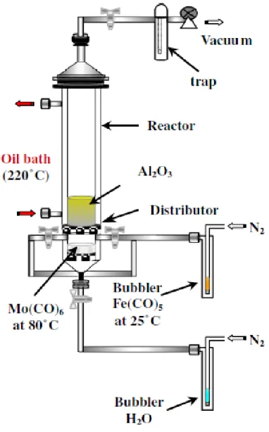 Figure 2.4 : Appareil OMCVD pour la préparation de catalyseurs bimétalliques supportés