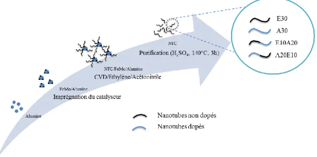 Figure 2.6: Représentation schématique de la stratégie de préparation des nanotubes dopés et  partiellement dopés à l’azote