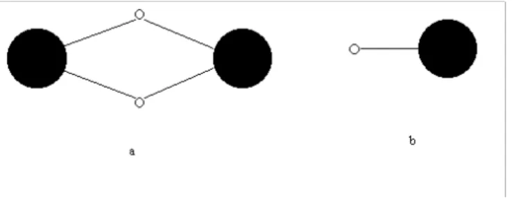 Figure 3: Figures 3a and 3b represent the two kinds of Dynkin diagrams of Hyperbolic Lie algebras