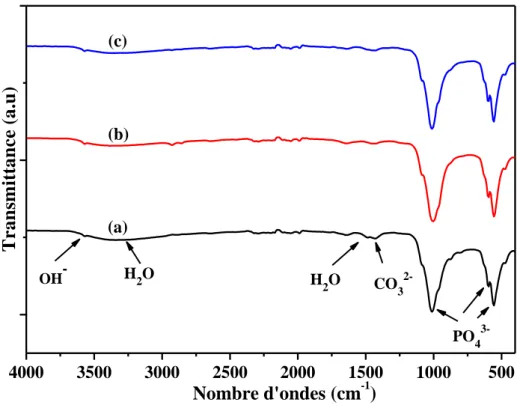 Figure  6: Spectre d’absorption  IR-TF des  mn-HAP/SLES  préparées à 80°C  avec différentes 