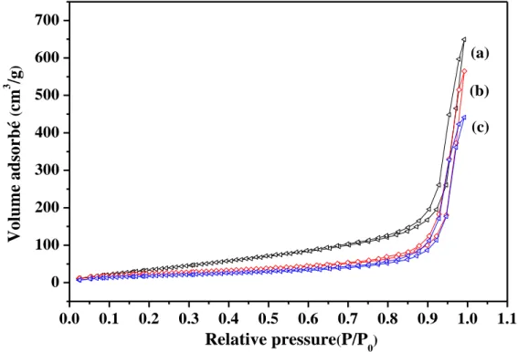 Figure 11 : Isotherme d’adsorption/désorption de N 2  sur la mn-HAP préparée via micro-onde  séchée à 80 °C en utilisant le tensioactif SLES ; (a): 0,01M, (b): 0,05M et (c): 0,09M