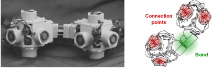 Figure 2.3: Molecule Robot