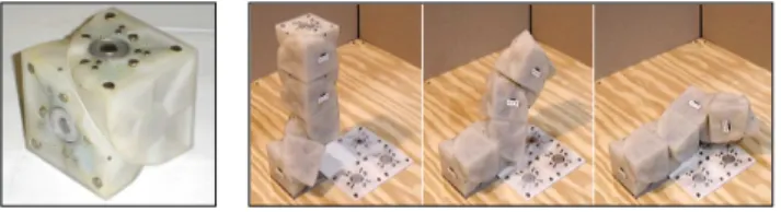 Figure 2.8: Molecube Robot