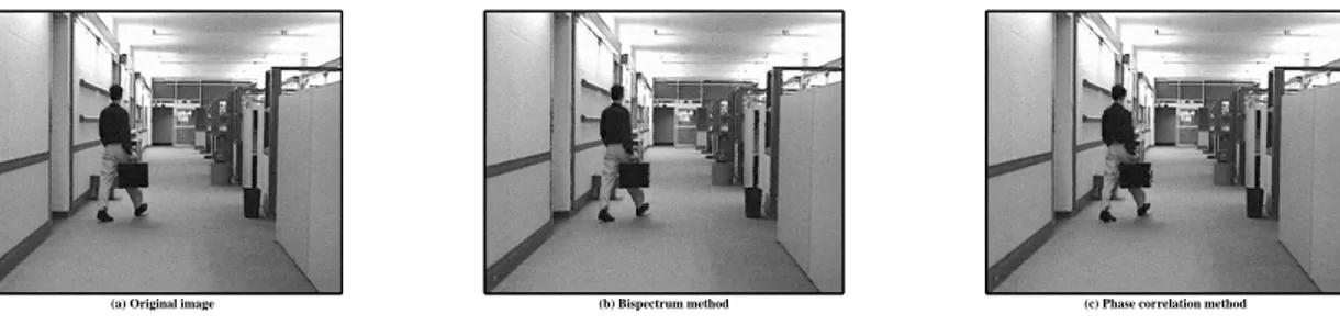 Figure 4.8 – Prediction for frame 44 of the Hall Monitor sequence in the presence of ACGN.