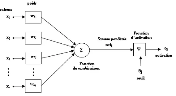 Fig. 1.2 – Structure d’un neurone artificiel