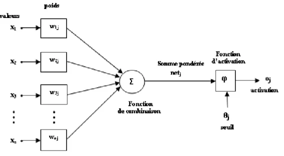 Fig. 1.2 – Structure d’un neurone artificiel