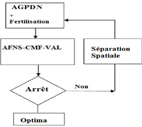 Figure II.1 – Structure du modèle proposé (NGO).