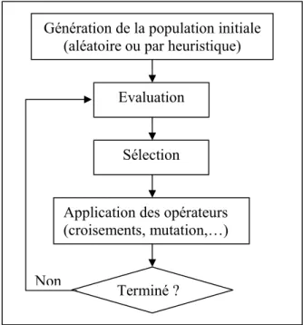 Figure 1 : Organigramme d’un algorithme évolutionnaire 