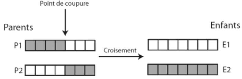 Figure 2 : Opérateur de croisement à 1 point 