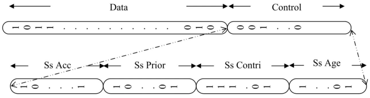 Figure 3 : Structure interne de l’individu  Remarques  