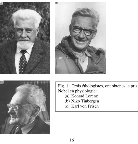 Fig. 1 : Trois éthologistes, ont obtenus le prix  Nobel en physiologie: 