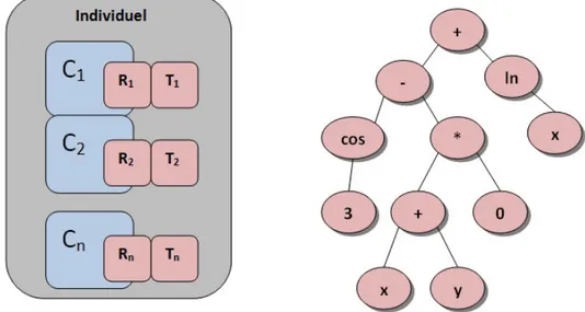 Figure 2.3 – Représentation de deux individus pour deux problèmes d’algorithmes évo- évo-lutionnaires : gauche, (a) Représentation du génome pour les examens horaires