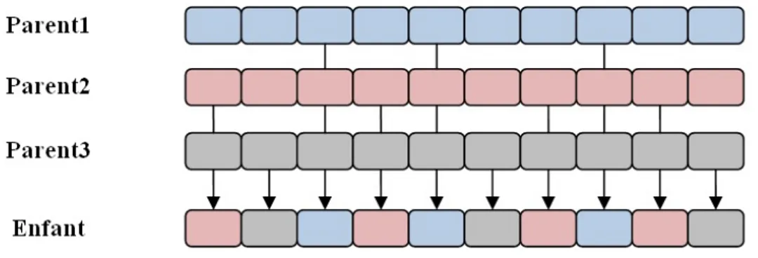 Figure 2.4 – Le croisement uniforme entre trois parents [124].